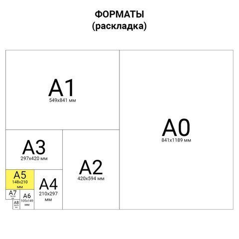 Тетрадь 48л А5 клетка гребень обложка картон Однотонная BRAUBERG 1/100
